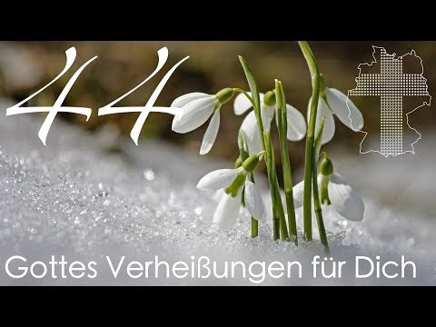 Gottes Verheißungen für Dich - Johannes 14,13 | Videokalender 44/365 - Deutschland braucht JESUS