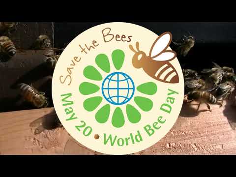 Boja meda ep. 116 26.05.2020. Novozelandska metoda uzgoja matice, Svetski dan pčela, zreo med