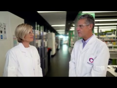 Professor Ricky Johnstone talks the Cancer Moonshot on 60 Minutes