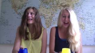 Cover of Harry Potter in 99 seconds, Paint