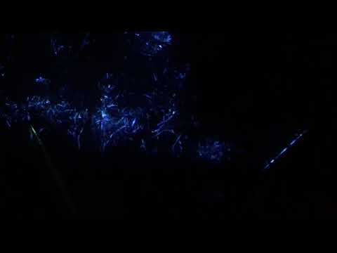 Flipknot a.k.a. Kerosene Club @ The Fraktal Magik Opening Ritual June 30 2018