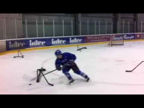 Adler Mannheim Training 26 01 2017