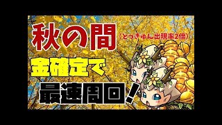 【モンスト】（全部金確定）秋の間を周回して特L落としちゃおうよ！(ง •̀_•́)ง【誰でもマルチ歓迎】