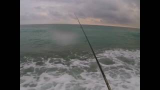 Megabass shadow pangea sp-100m