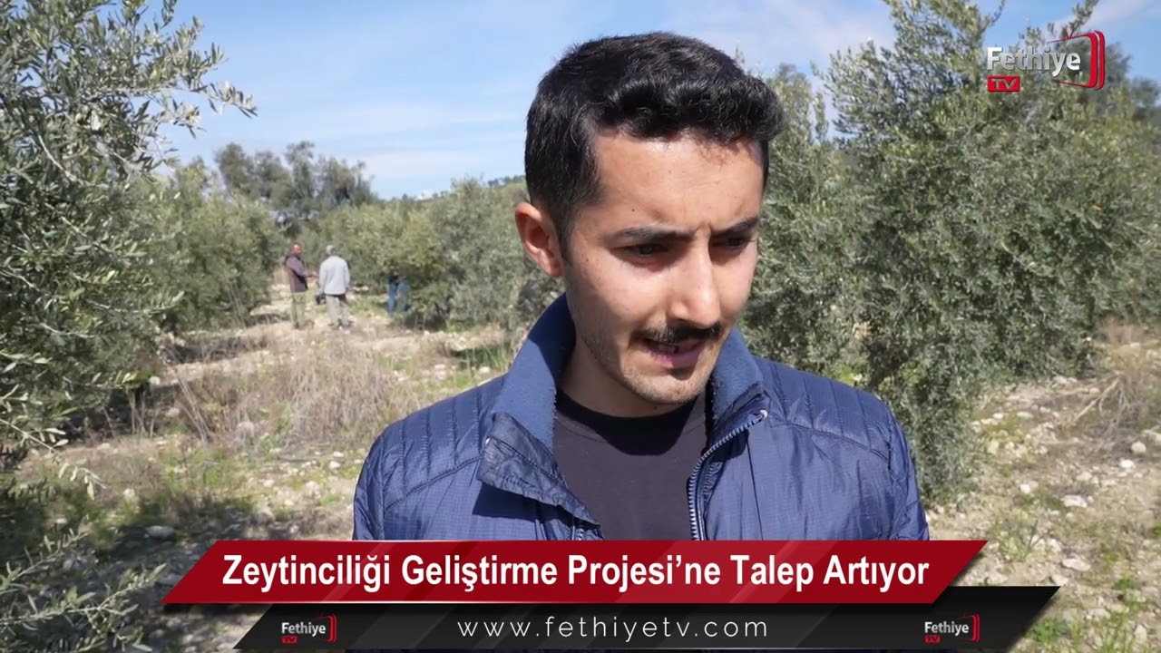 Zeytinciliği Geliştirme Projesi’ne Yoğun İlgi