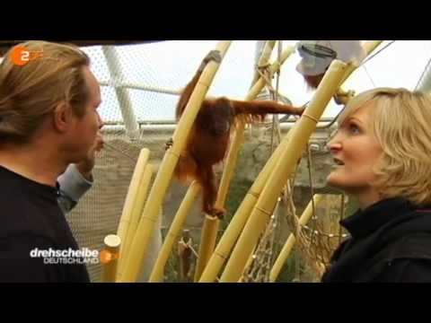 Ein Tag als Industriekletterin