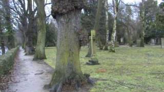 Silence - YG (v0.1) / Michael Brook & Djivan Gasparyan - Together Forever