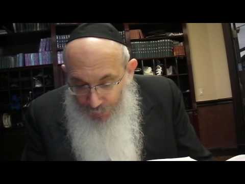 Tanya Chapter 10 Part 1 -  Rabbi Yisroel Spalter