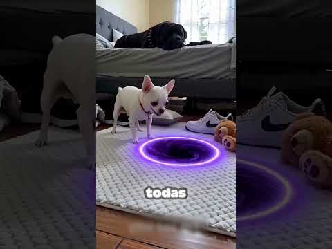 Ele Tentou Tapar Um Buraco Negro Com Uma TOALHA! 😂🕳️
