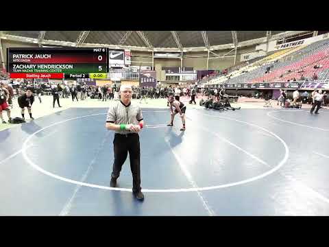 88 Lbs Round 5 - Patrick Jauch, Wisconsin Vs Zachary Hendrickson, Team Nazar Training Center B829