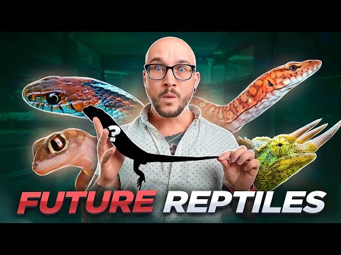Top 5 Most Popular Reptiles in the 2030s | The Future of Reptiles!