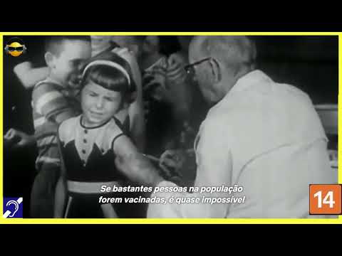 Tv Educativa Cortes Netflix Explicando A Próxima Pandemia Dublado e com Legendas Surdez Hipoacusia  Corte 06