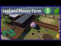 Planet Zoo - How to Setup a Leaf and Money Farm