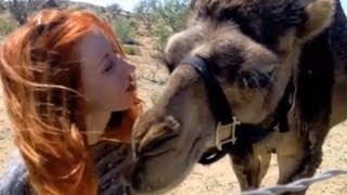Camels & Friends on Animal Planet!