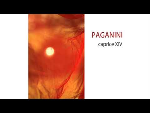 Niccolò Paganini: Caprice op. 1, No 14 | Mariya Nesterovska