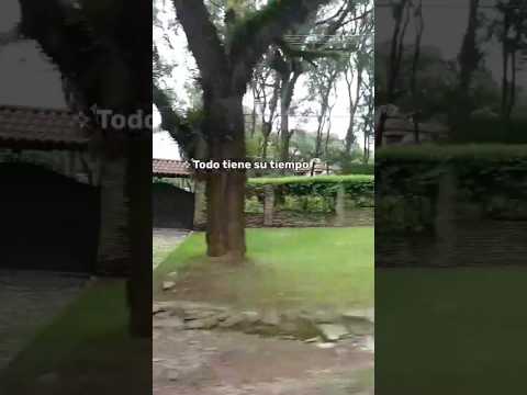 San Javier - Tucumán #ciudaduniversitaria #patos #caballos #camping #shortsviral #youtube