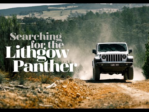 Jeep Wrangler Rubicon Goes Searching for the Lithgow Panther | Wheels Australia