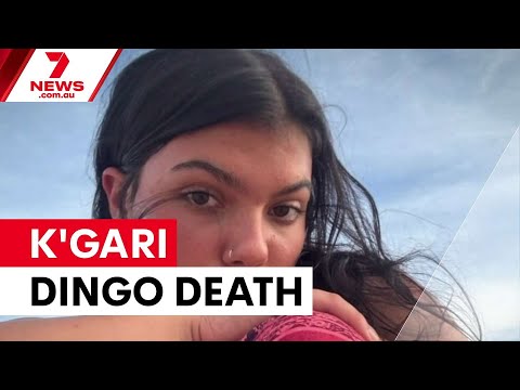 Backpacker drowned after dingo attack on K'gari | 7NEWS