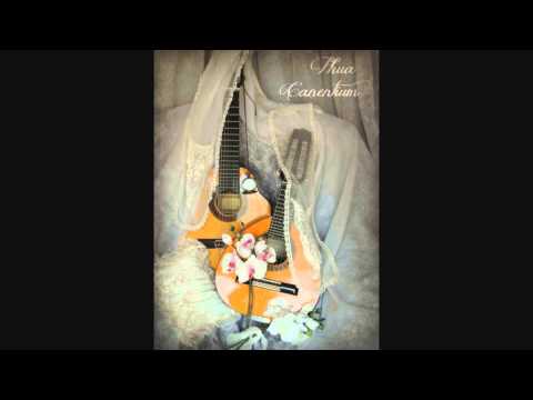 FictionJunction Gaika Cover by Phua Canentium.