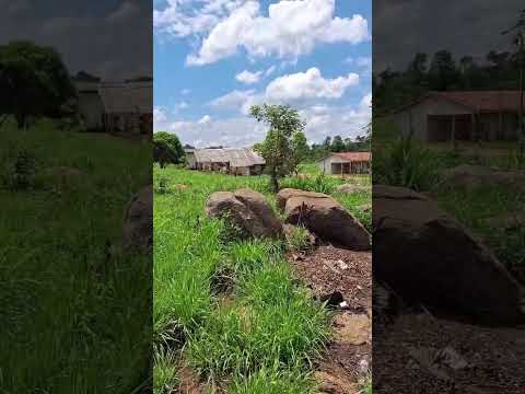 5 de novembro de 2025