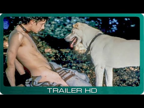 Trailer-Vorschau: Fögi ist ein Sauhund