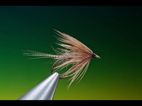 Fly Tying a Hares Ear soft hackle wet fly with Barry Ord Clarke