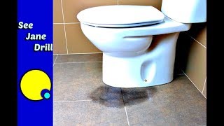 Anyone Can Fix a Leaky Toilet