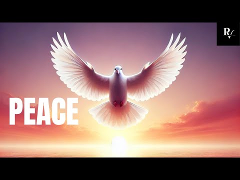 The Journey to Peace: Understanding the Dynamics and How to Achieve It