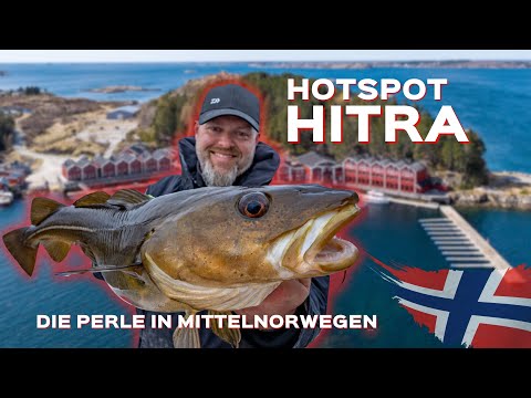 Angeln in Norwegen: Hitra - Kvenvær und Grefsnesvågen - Angeln auf Pollack, Köhler, Leng und Dorsch