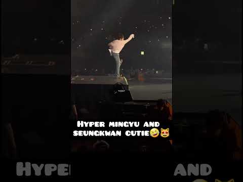 SEVENTEEN Mingyu & Seungkwan Show Off Hyper Energy in Fan Compilation