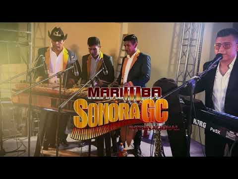 Adiós Amores mix Lágrimas En El Desierto - Marimba Sonora GC. (Desde convenciones Alexis)