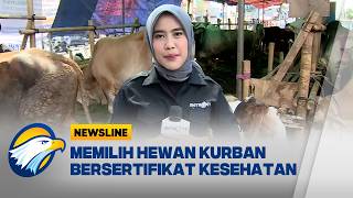 Download lagu Pentingnya Memilih Hewan Kurban Bersertifikat Kesehatan - [Newsline] mp3