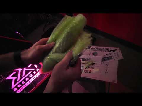 Exa-Arcadia: Unbox, Installation & Gameplay for Aka & Blue Type-R; Kung Fu Vs. Karate Champ - YouTube