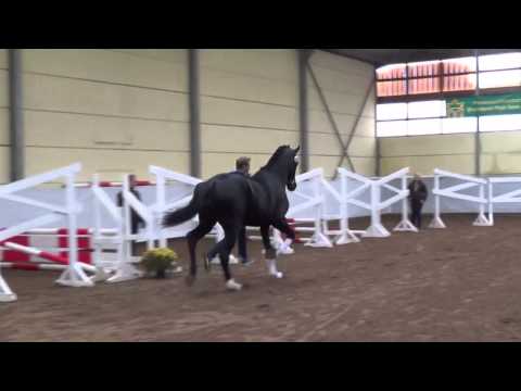 Apache - Fidermark - KN 1