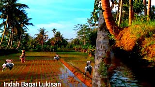 Download lagu Suasana Adem dan sejuk Di Kampung Terpencil,Indah Pemandangan Alamnya Luar Biasa ,Suasana Pedesaan . mp3