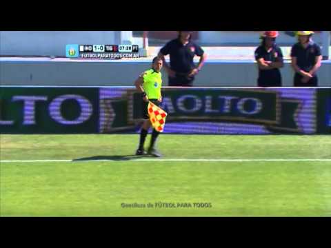 ¿Estaba habilitado?.Independiente 1 Tigre 0.Fecha 13.Torneo Primera División 2014.FPT