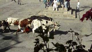 preview picture of video 'BRIHUEGA FERIAS OCTUBRE 2009 COGIDA'