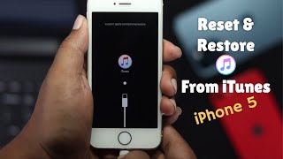How to Reset iPhone 5s and FULLY Restore from iTunes | iPhone 5s/5c/5 DFU Mode