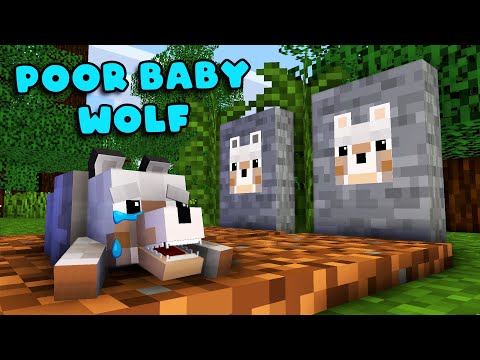BABY WOLF, WHY ARE YOU CRYING? Poor Baby Wolf Sad Story #1 - Minecraft Animation
