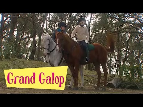 Grand Galop 202 - Un invité de marque (Partie 2) | HD | Épisode Complet