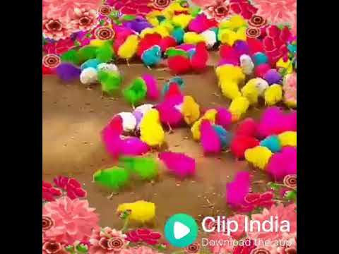 Whatsapp status Sujal