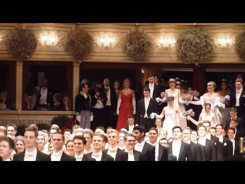 Wiener Opernball 2016, Einzug des Eröffnungskomitees