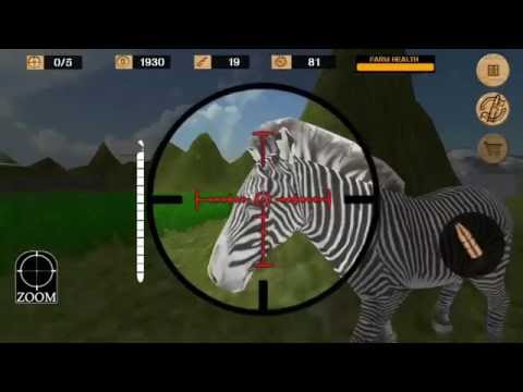 Animal Sniper Shooting Video