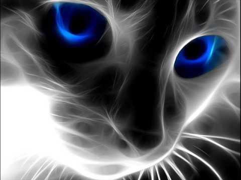 Marek Sochacki - "Miętowy kot" - poezja śpiewana