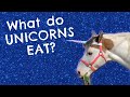 What Do Unicorns Eat? — Lulu the Unicorn Answers Your Questions!