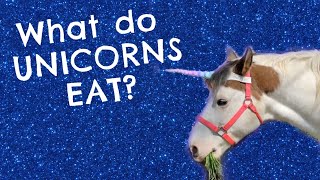 What Do Unicorns Eat? — Lulu the Unicorn Answers Your Questions!