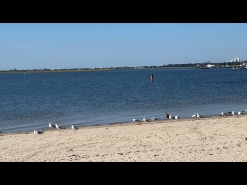 NY Long Island Beaches Start To Reopen Again