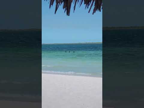 Jijoca de Jericoacoara, Ceará, Brasil. Lagoa do Paraíso