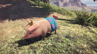 ちゃんねる!さりぃ のライブ ストリーム