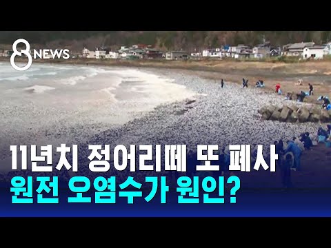 아이콘